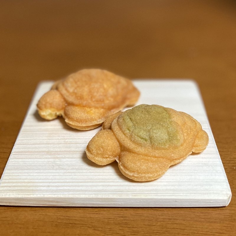 かめっこ(みどりがめ、みかん)(道の駅　紀宝町　ウミガメ公園 )