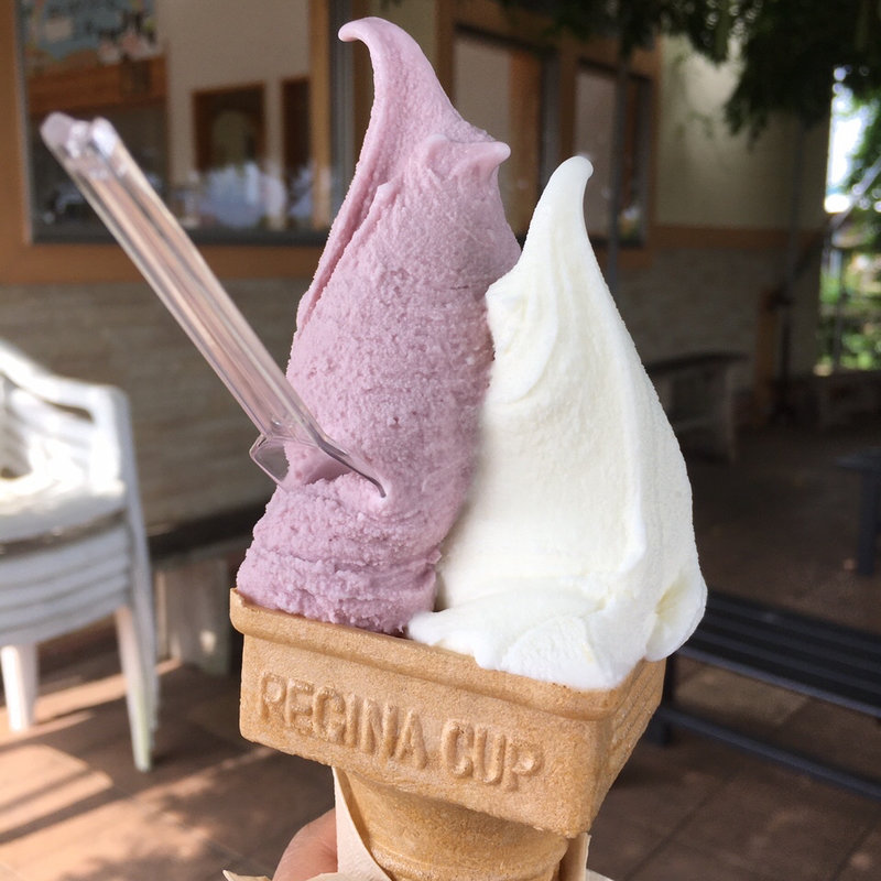 ジェラートダブル(佐久間あいすくりーむ工房)