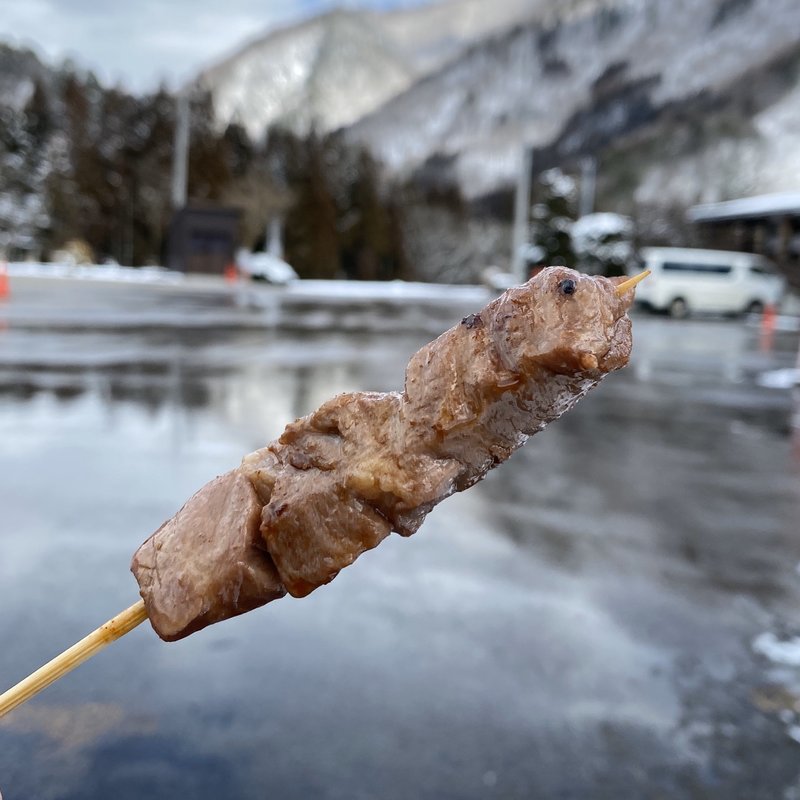飛騨牛串焼き(どっこらしょ )