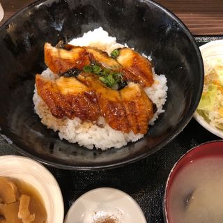うな丼(銀座漁港 快海)