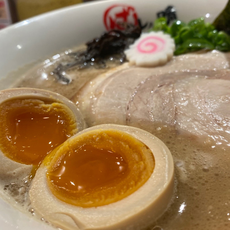 始豚Special(ハレノチ晴)