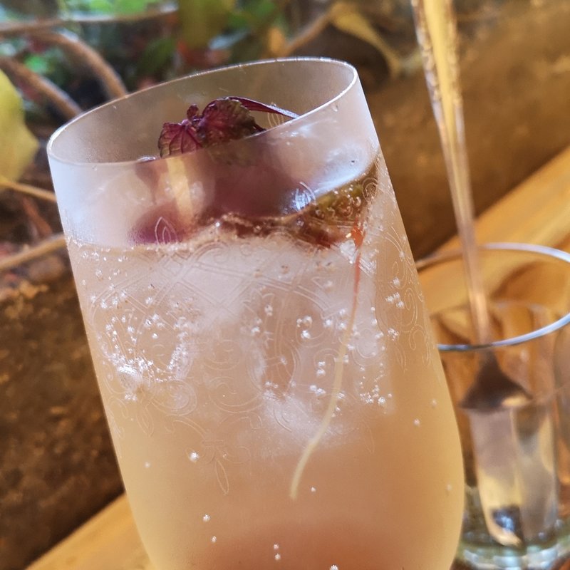 梅のビネガードリンク(Vinegar Bar Banksia)