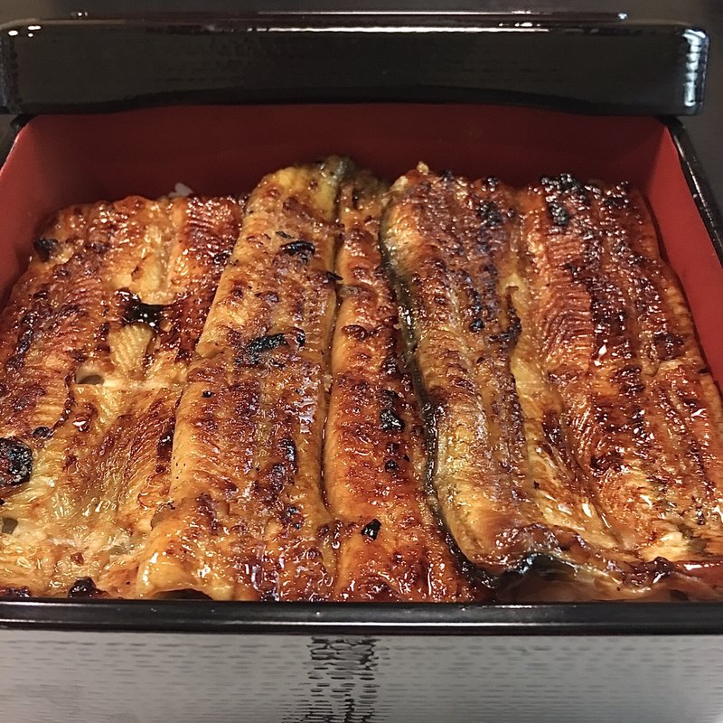 うな重(山)(うなぎ藤田 （ふじた）)