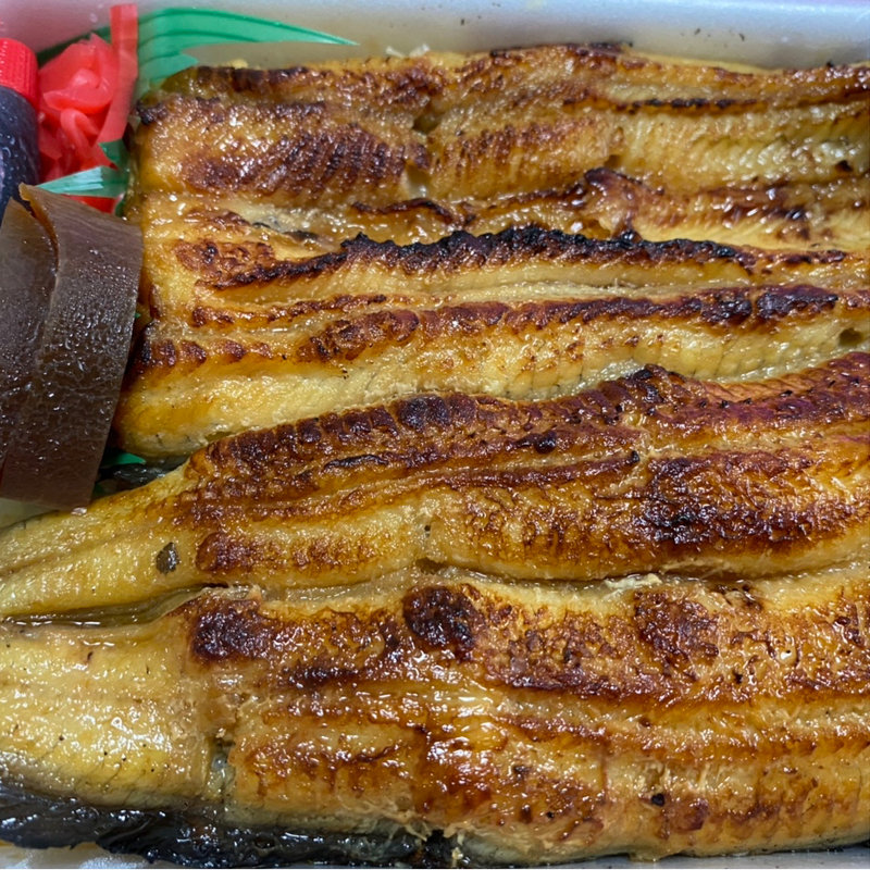 うなぎ(鯉とうなぎのまるます家 総本店 （まるますや）)