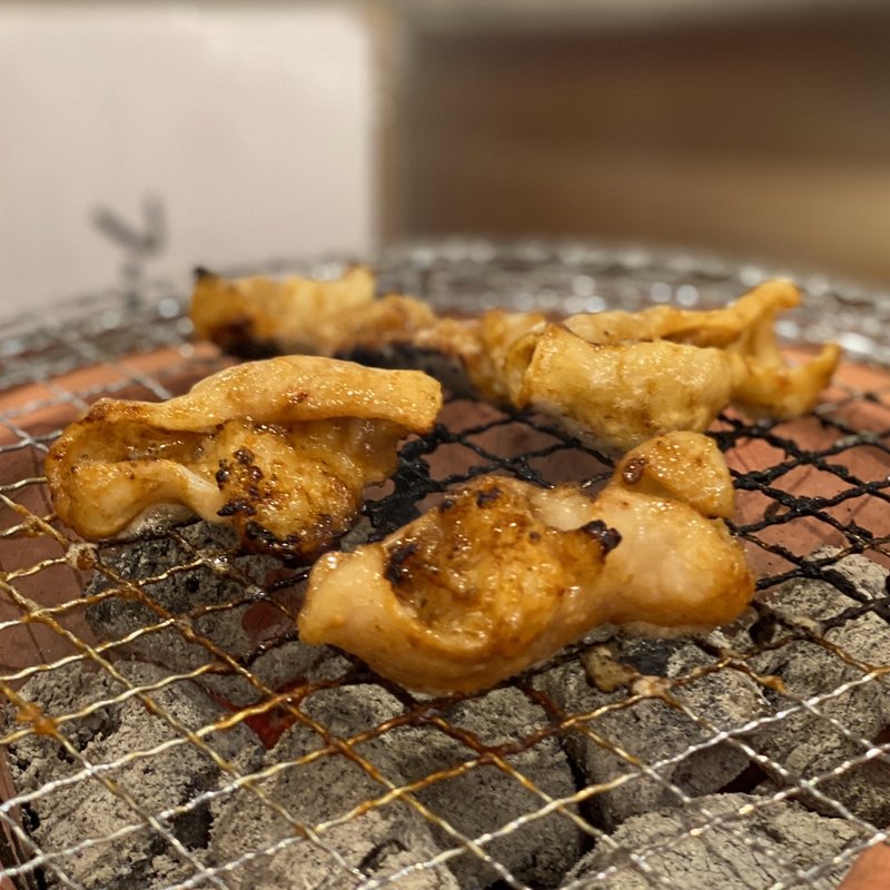 本気のとんちゃん(大衆炭火ほるもんひとすじ もくもく。 本店)