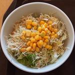 生野菜サラダ(吉野家 １号線川崎遠藤町店)