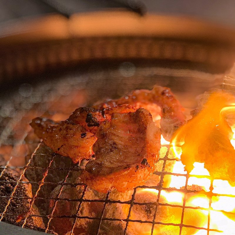 ホルモン(ホルモン焼き食堂 木下 横川本店 )