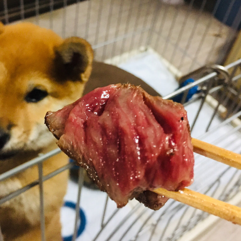 尾崎牛の炭焼ステーキ(尾崎牧場)