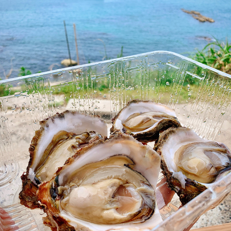 夏輝（牡蠣）(村中水産 )