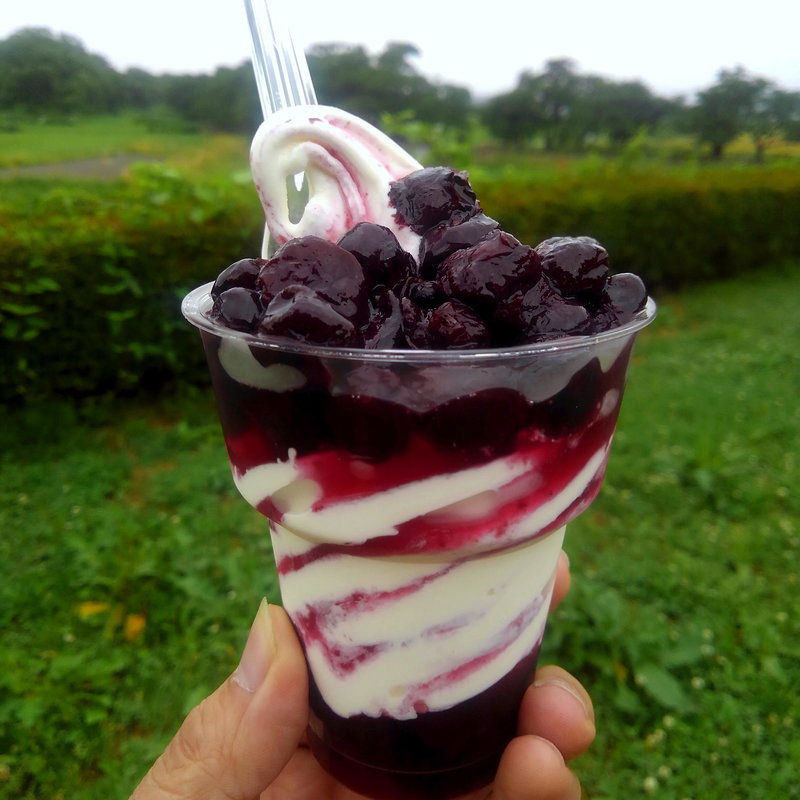 ブルーベリーソフトクリーム(展勝地レストハウス )