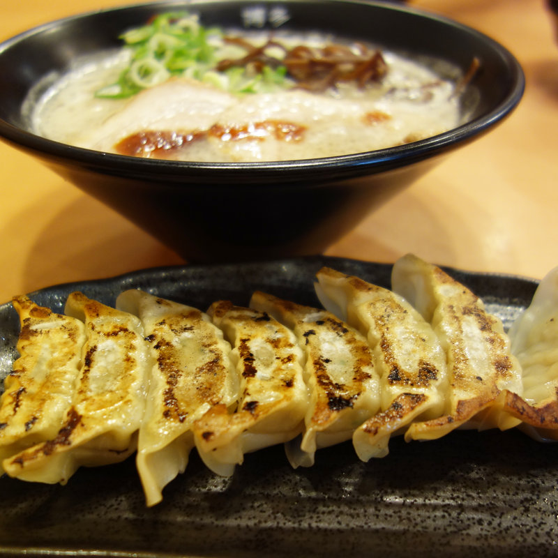 大名一口餃子(博多くまちゃん らぁめん 大名本店)