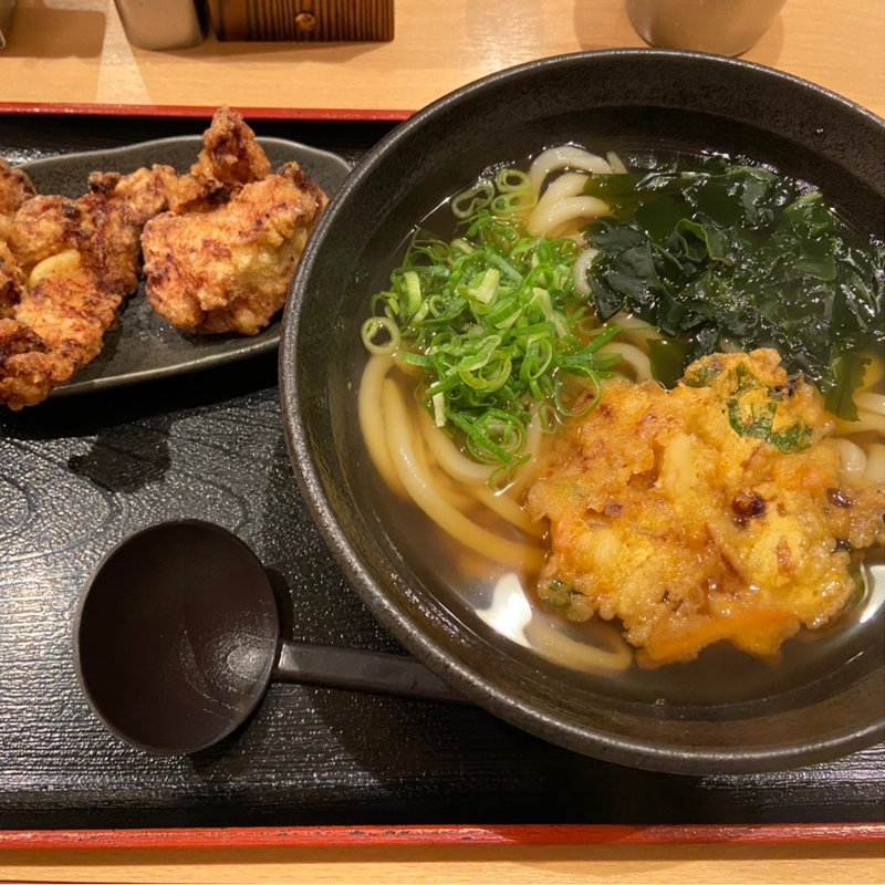 海鮮かき揚げうどん(無常うどん ま)