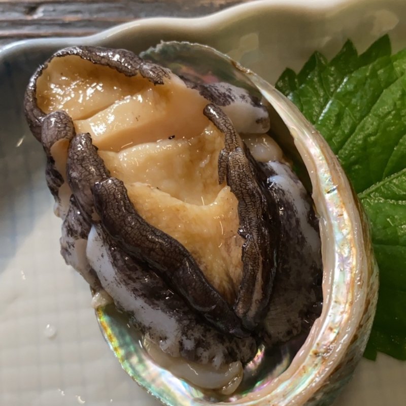 活あわび踊り食い(活魚問屋 海寶 （カイホウ）)