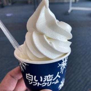 白い恋人ソフトクリーム(pier （ピア）)