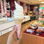 無添加ミルクソフトクリーム(道の駅北前船松前 北前食堂)