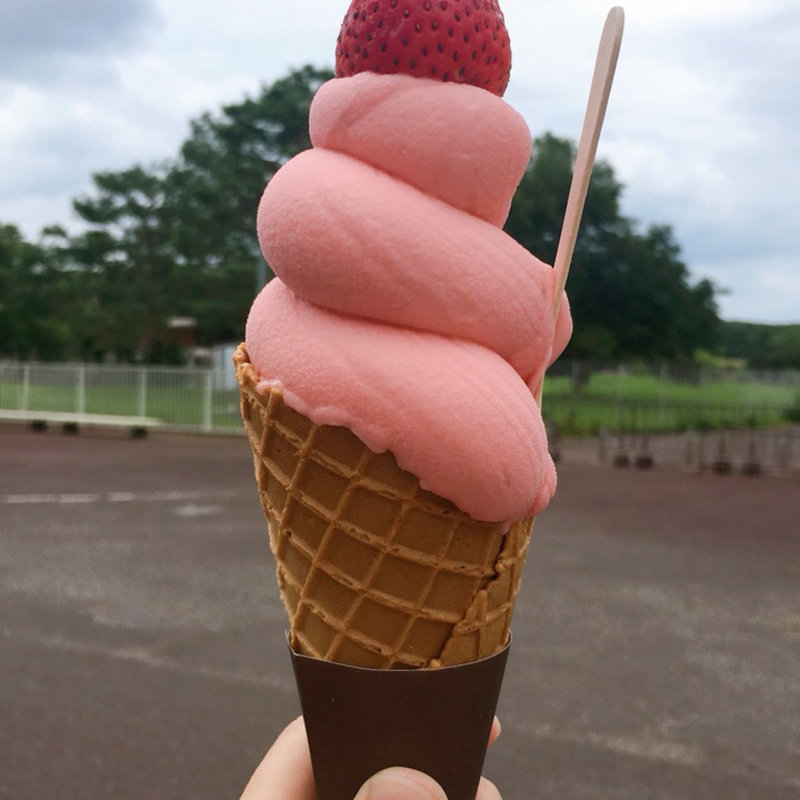 万博ソフト(薪窯 PIZZA・CAFE NORTH GARDEN 万博公園店)