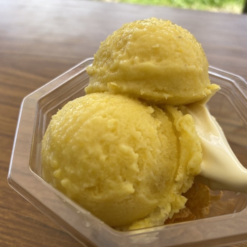 とうもろこしのアイスクリーム(道の駅木曽福島 )