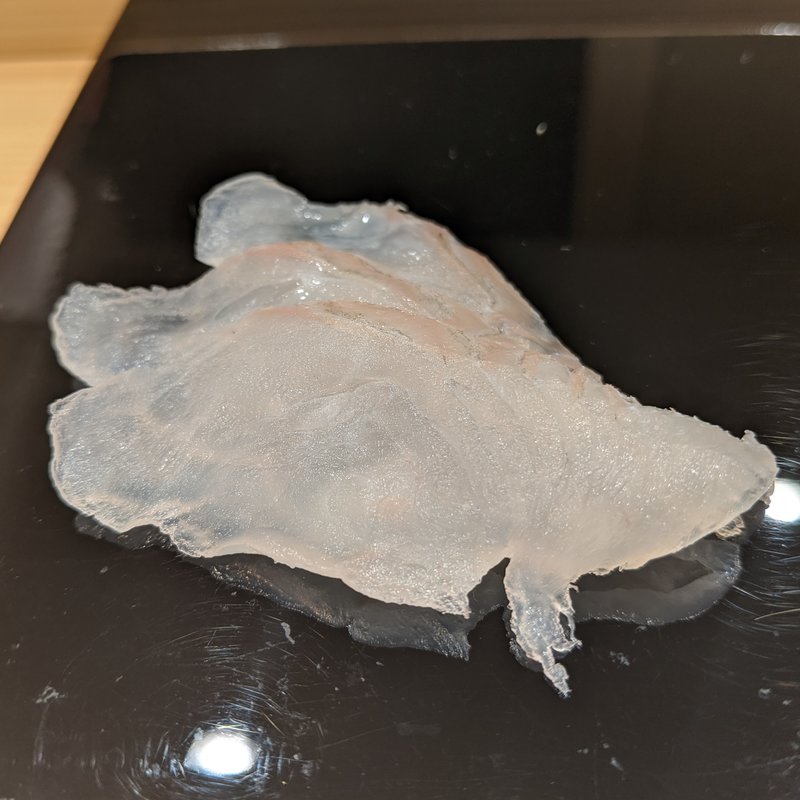 マコガレイ(鮨　北條)