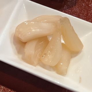 らっきょ(日本酒処 嗜)