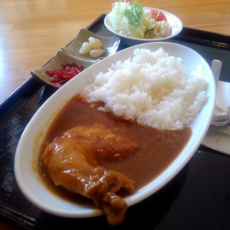 住田まるごとチキンカレー(道の駅 種山ヶ原 ぽらん )