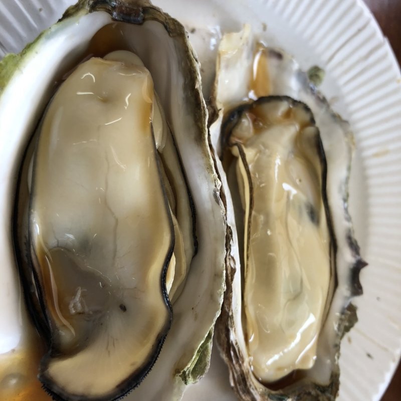 特選牡蠣(草津かき小屋 )