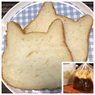 食パン 福岡 ねこねこ “猫型”高級食パン「ねこねこ食パン」マークイズ福岡ももちに、牛乳だけで仕込んだミルキーな味わい