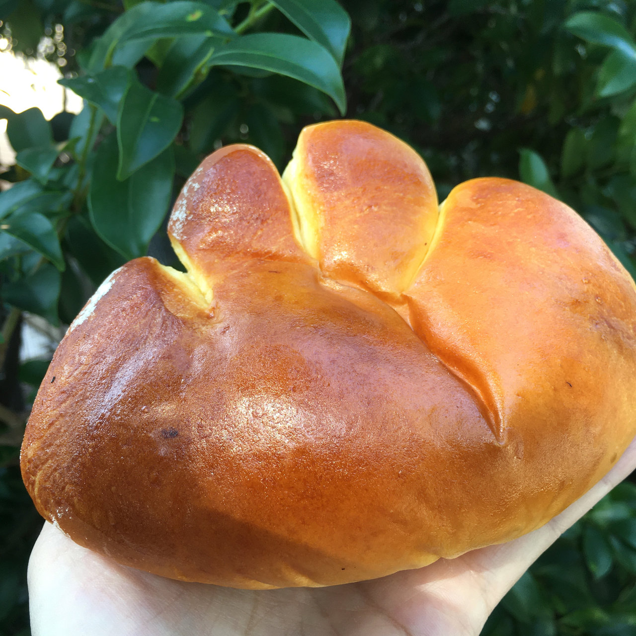 東京都のおすすめクリームパンbest30 Sarah サラ