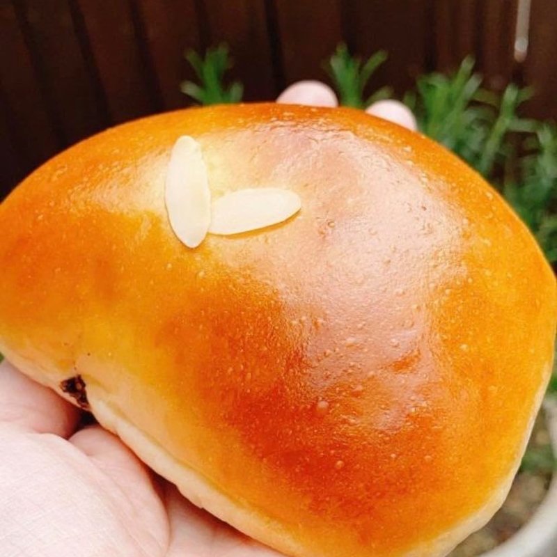 御用卵のクリームパン(gonno bakery market)