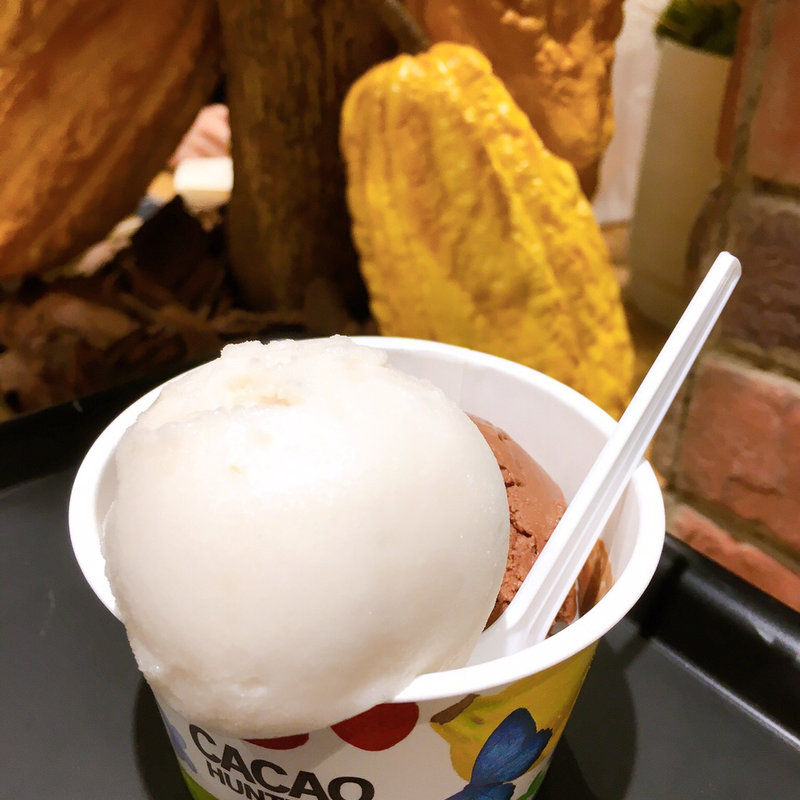 アルアコとパルプのアイス(CACAO HUNTERS Plus カカオハンターズプラス)