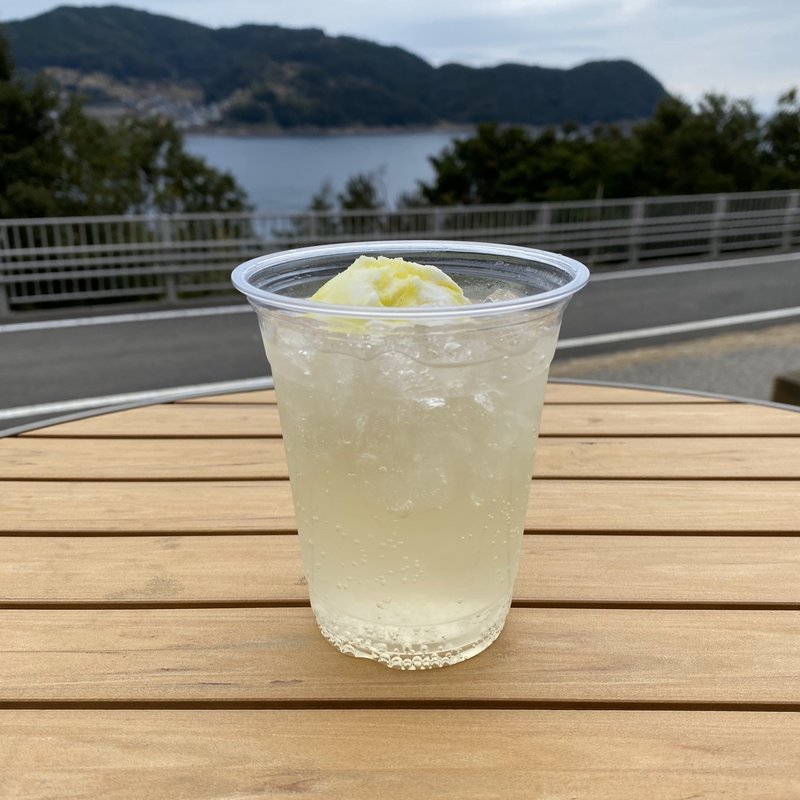 新姫サイダーフロート(鬼ヶ城センター )