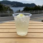 新姫サイダーフロート(鬼ヶ城センター )
