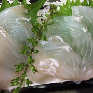 ひらめ(東信水産　伊勢丹新宿本店)
