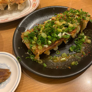 ネギ味噌焼餃子(青源 パセオ店 )