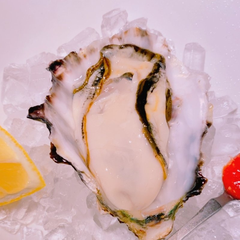 キャッツアイオイスター(KAZAN)