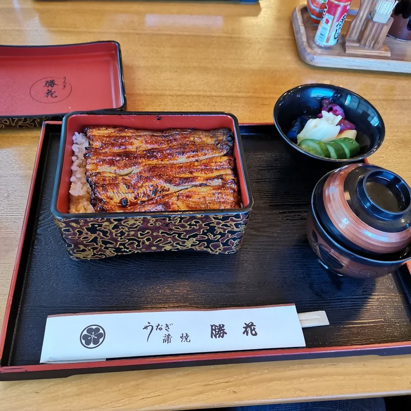 特上 うな重(うなぎ 勝花)