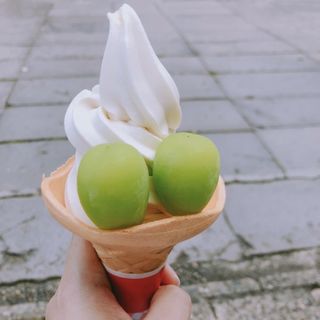 シャインマスカットソフトクリーム(信州りんご菓子工房　BENI-BENI)
