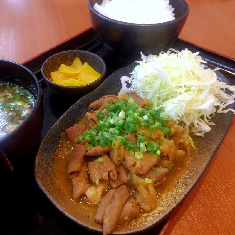 ホルモン定食(錦秋湖サービスエリア スナックコーナー )