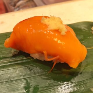 ほや(根室花まる 丸の内オアゾ店)