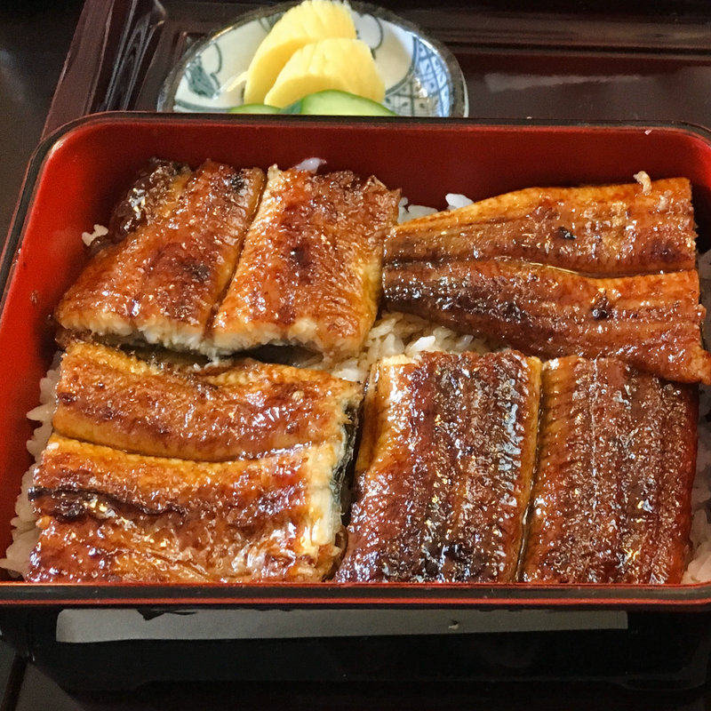 特うな重(炭焼きうなぎ　あおいや)