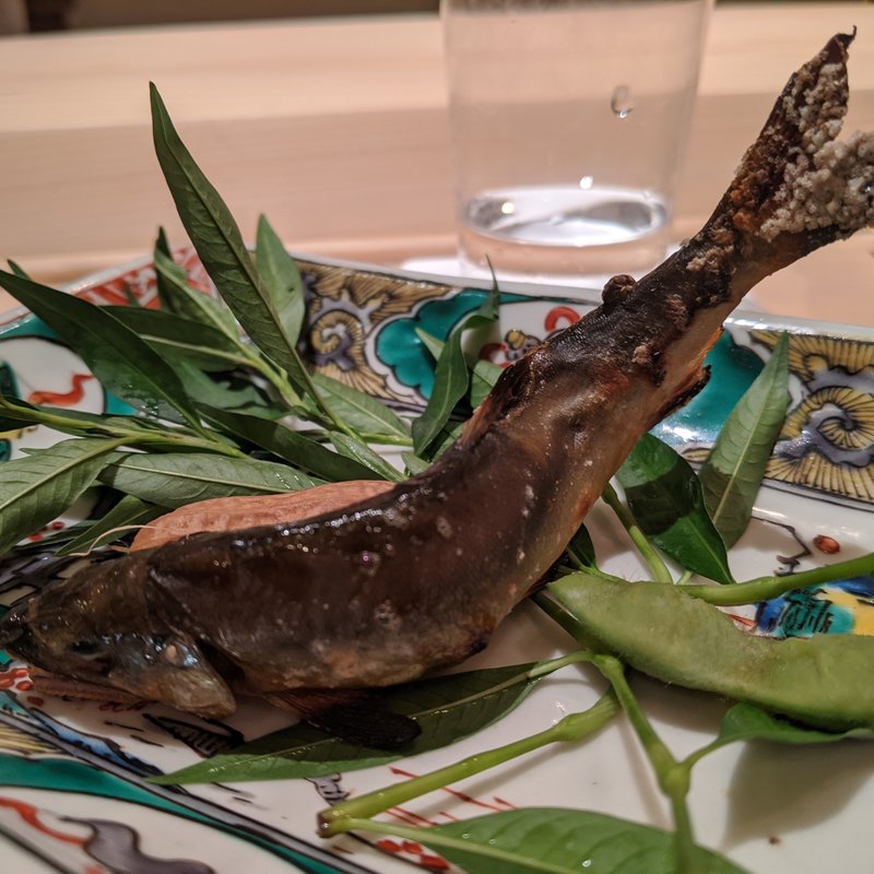 新潟産天然鮎(御料理　かつ志)