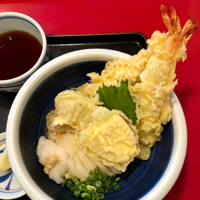 ひや天おろしうどん(おか泉)