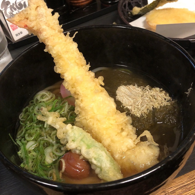 天ぷらうどん＋梅＋とろろ昆布(うどん道場 本店)