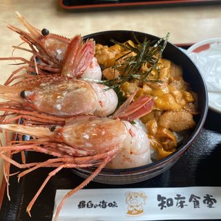 ウニ丼(知床食堂 )