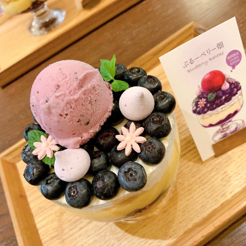 ぶるーべりー畑(FUKUNAGA 901)