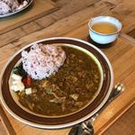 薬膳カレー(CASICA)