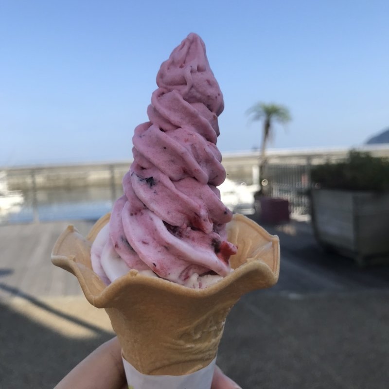 ヨーグルトベース　コーン(海を見ながら食べると幸せになるアイス)