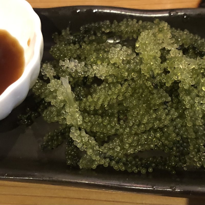 海ぶどう(カチャーシー 本厚木店)