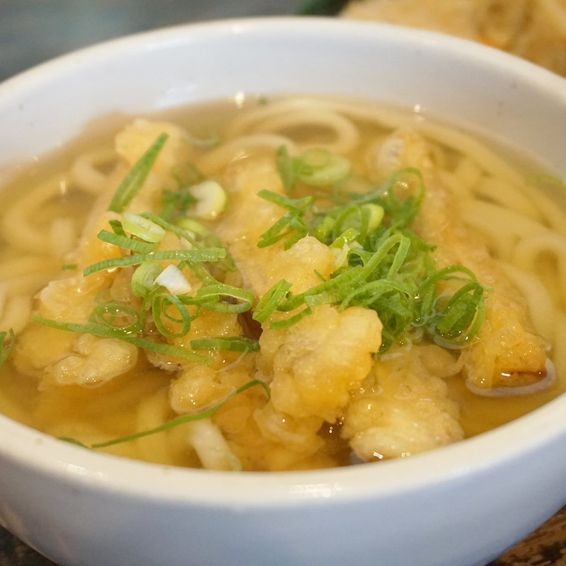 ごぼう天うどん(手づくりうどん 大右衛門 天山本店)