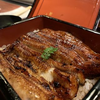 うな重　特上(新宿うな鐡　はなれ)