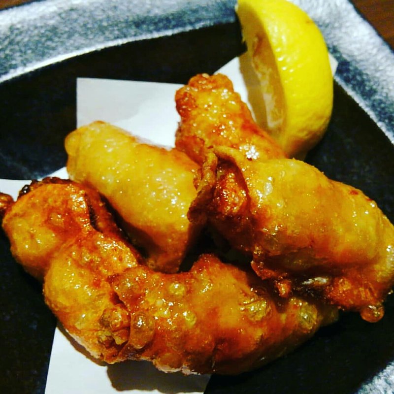 鶏皮餃子(さつま極鶏専門店 だいまおう)